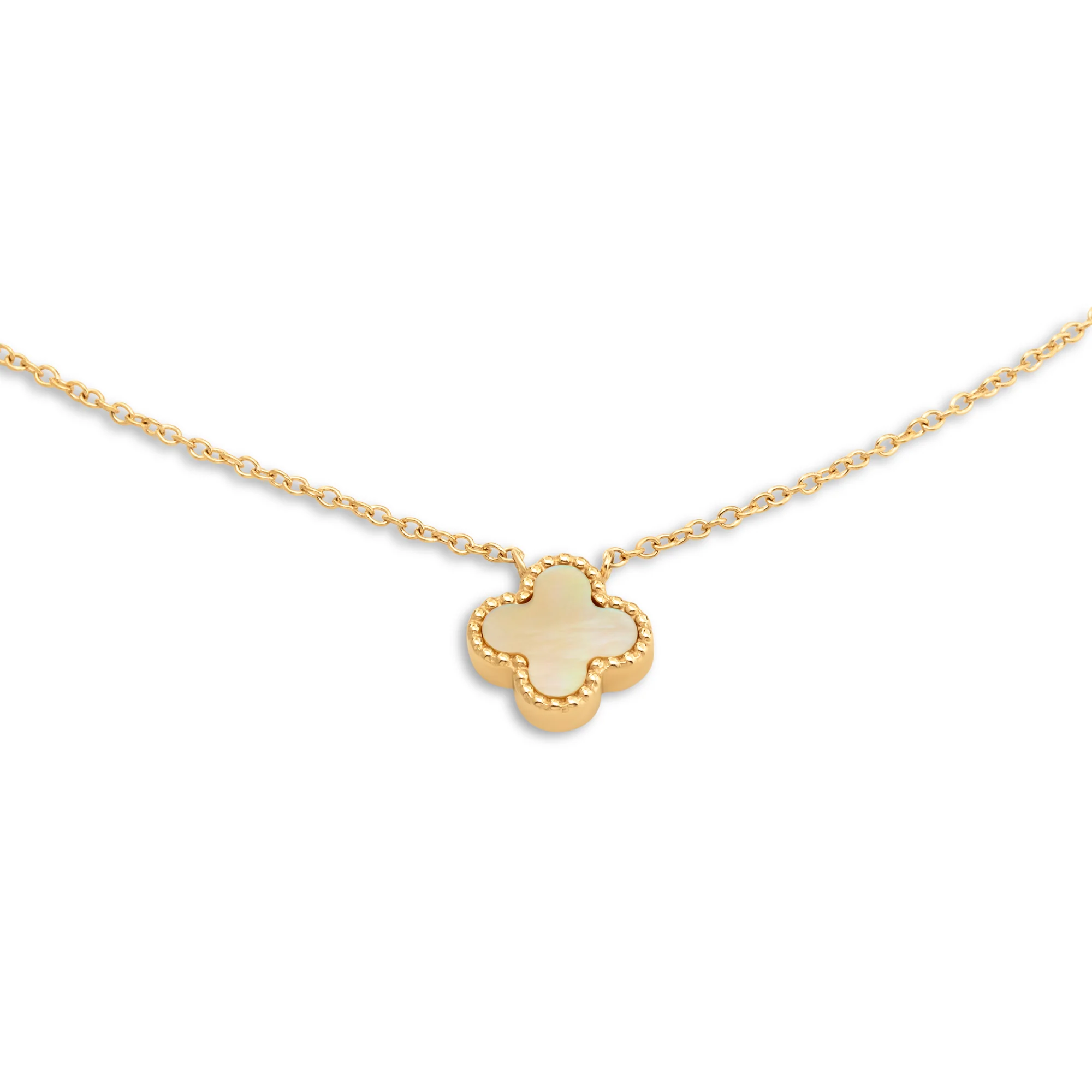 Melano Friends Larissa Ketting - Image 3