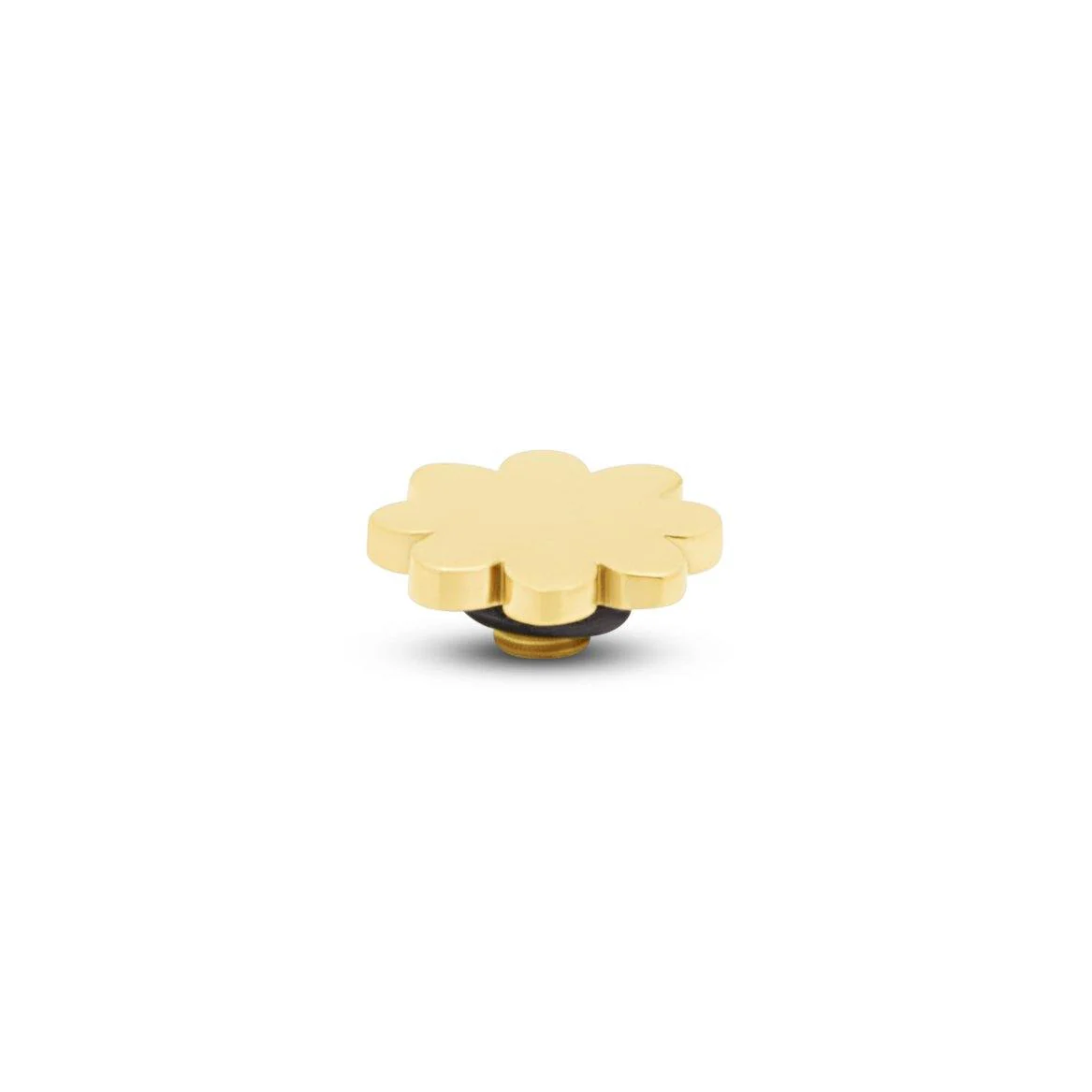 Miniatuur 1
