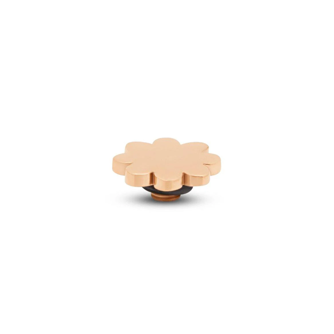 Miniatuur 2
